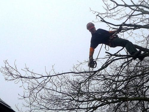 Davis Pestel, paysagiste à Saint Armel