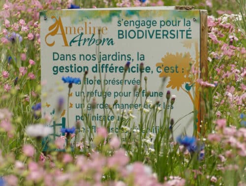 entretien des espaces verts prairie fleurie saint samson sur rance