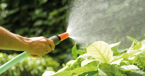 Gestion de l'eau au jardin