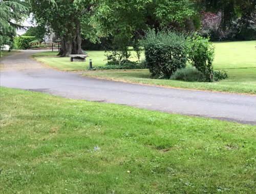 Paysagiste Régis Antier à Saint-Clément de laplace