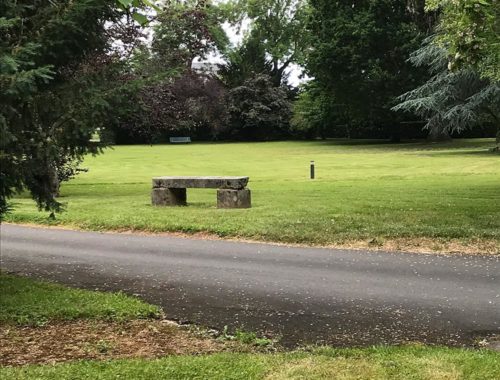 Paysagiste Régis Antier à Saint-Clément de laplace