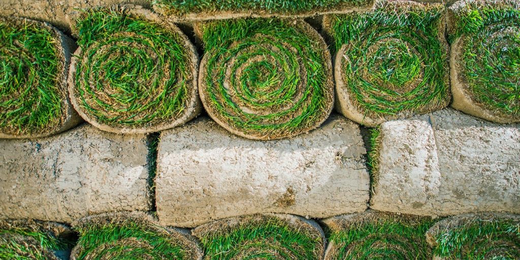 Le gazon de placage avantages, pose et entretien