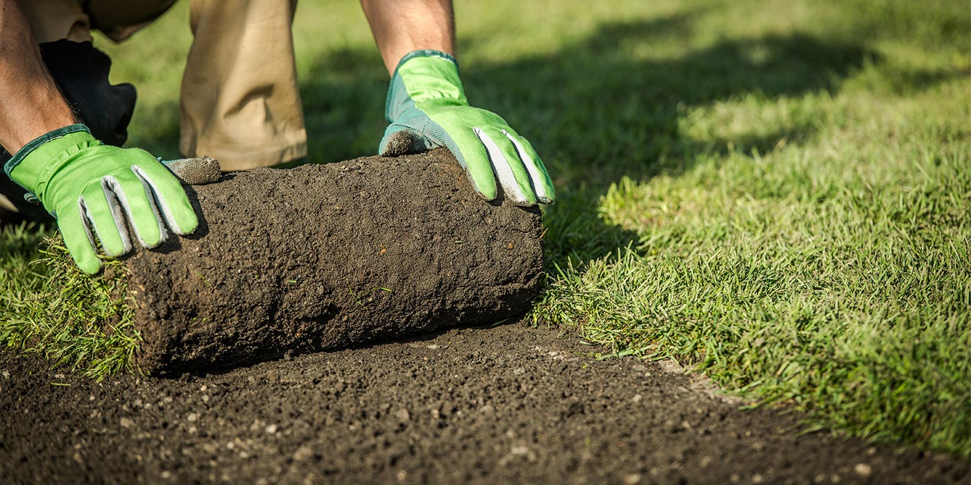 Le gazon de placage avantages, pose et entretien