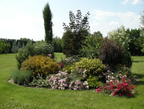 Paysagiste Troyes, Carret Services Jardin