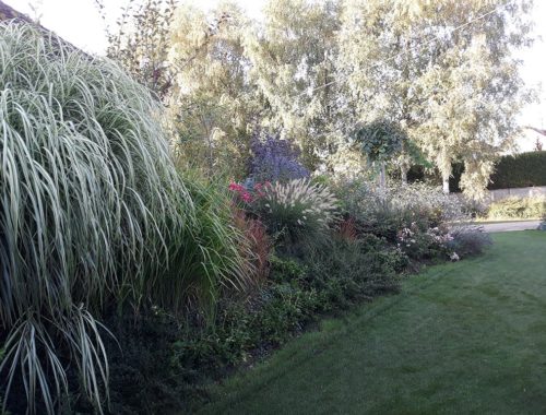 Paysagiste Troyes, Carret Services Jardin