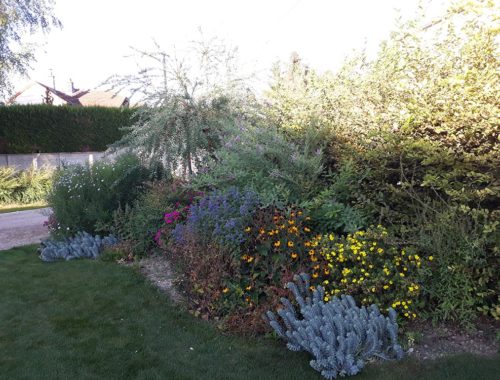 Paysagiste Troyes, Carret Services Jardin
