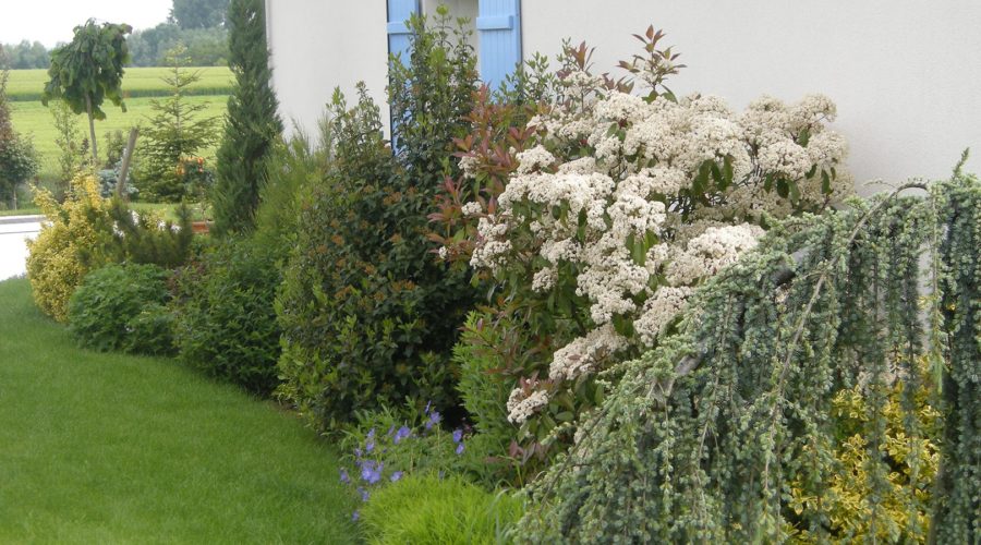 Paysagiste Troyes, Carret Services Jardin