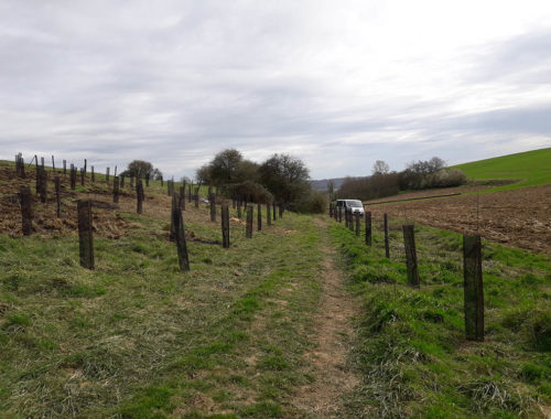 Paysagiste à Guines, Verdin Espaces Verts
