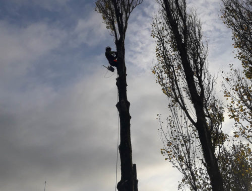 Paysagiste à Guines, Verdin Espaces Verts