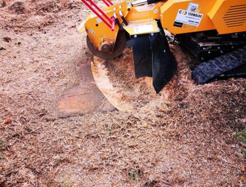 GGP Aménagement Extérieurs,Paysagiste près de Caen