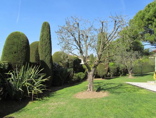 Lovazzani Jardin, paysagiste à Grasse