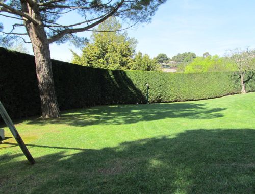 Lovazzani Jardin, paysagiste à Grasse