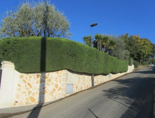 Lovazzani Jardin, paysagiste à Grasse