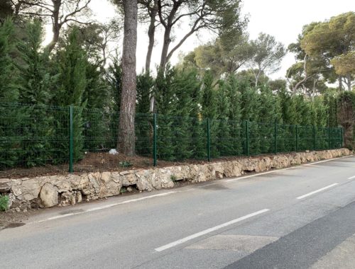 Lovazzani Jardin, paysagiste à Grasse