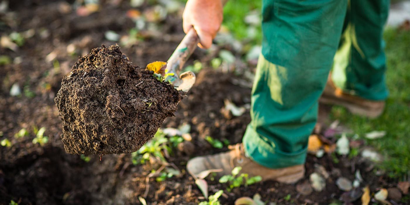 Préparer son jardin au printemps