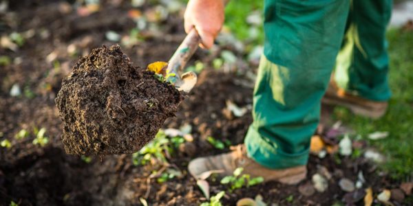 Préparer son jardin au printemps