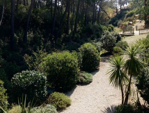 MAJPaysage, paysagiste à Marseille