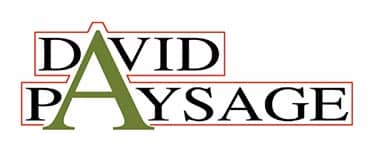 Logo DAVID PAYSAGE – PISCINE – VANNES