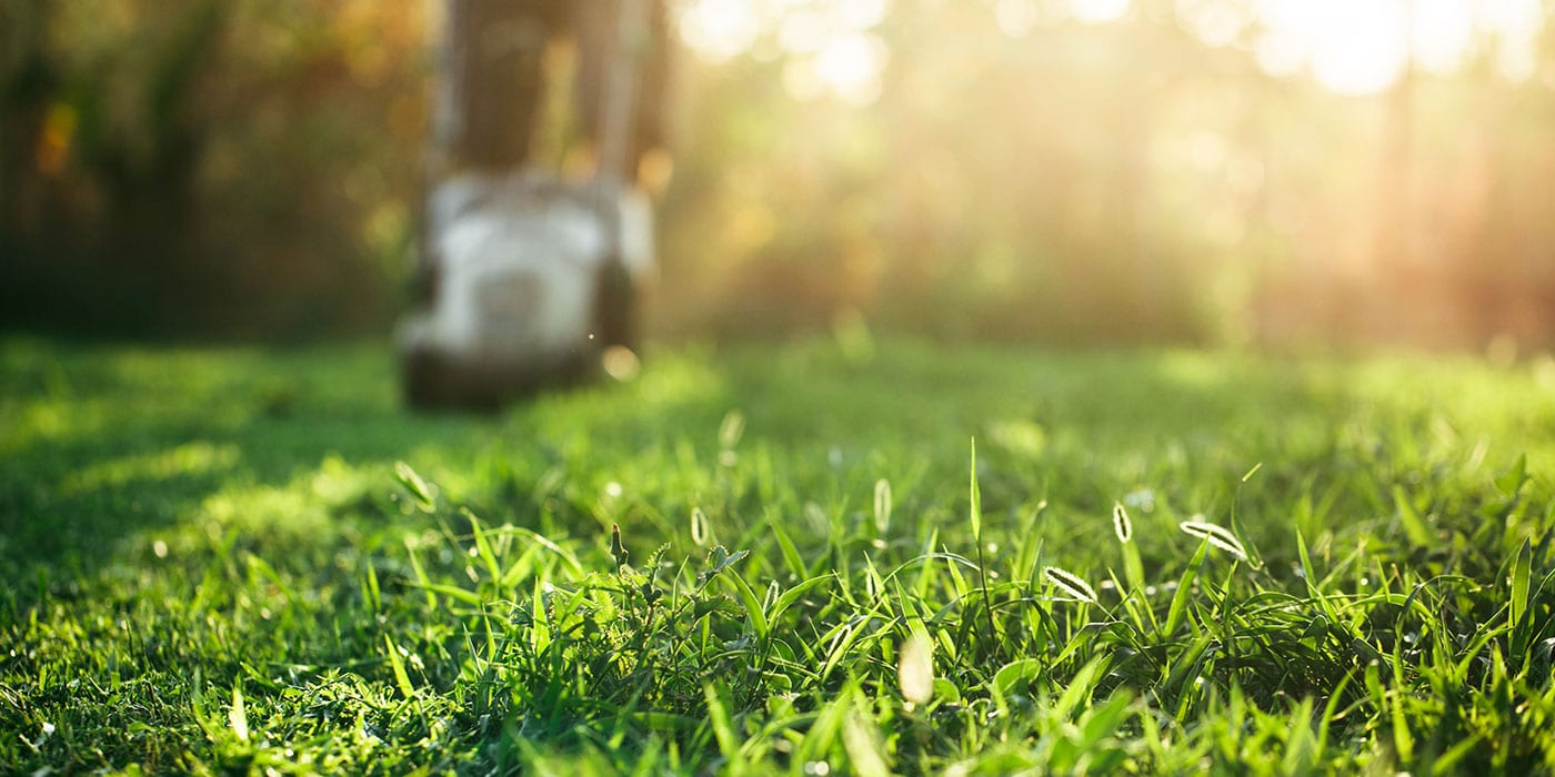 Calendrier entretien de jardin