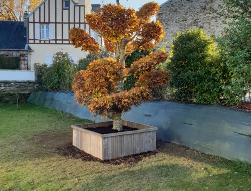 Loisel Paysagiste à Cavigny