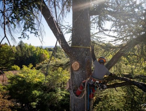 Dupuy Geoffray à Saint-Yrieix-la-Perche