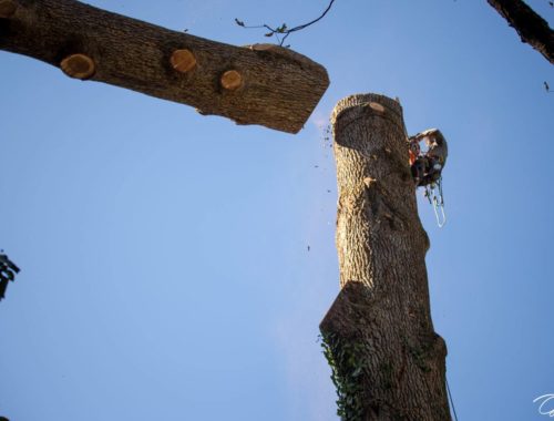 Dupuy Geoffray à Saint-Yrieix-la-Perche
