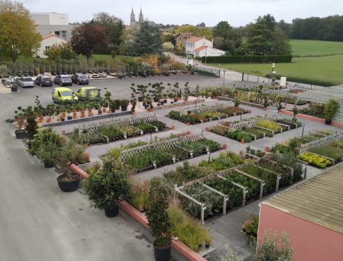 Marmin à Essarts-en-Bocage