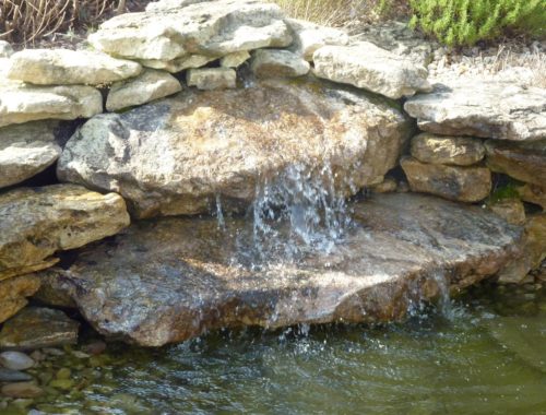 Harmony Paysages, paysagiste à Ligré