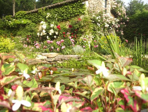 Harmony Paysages, paysagiste à Ligré