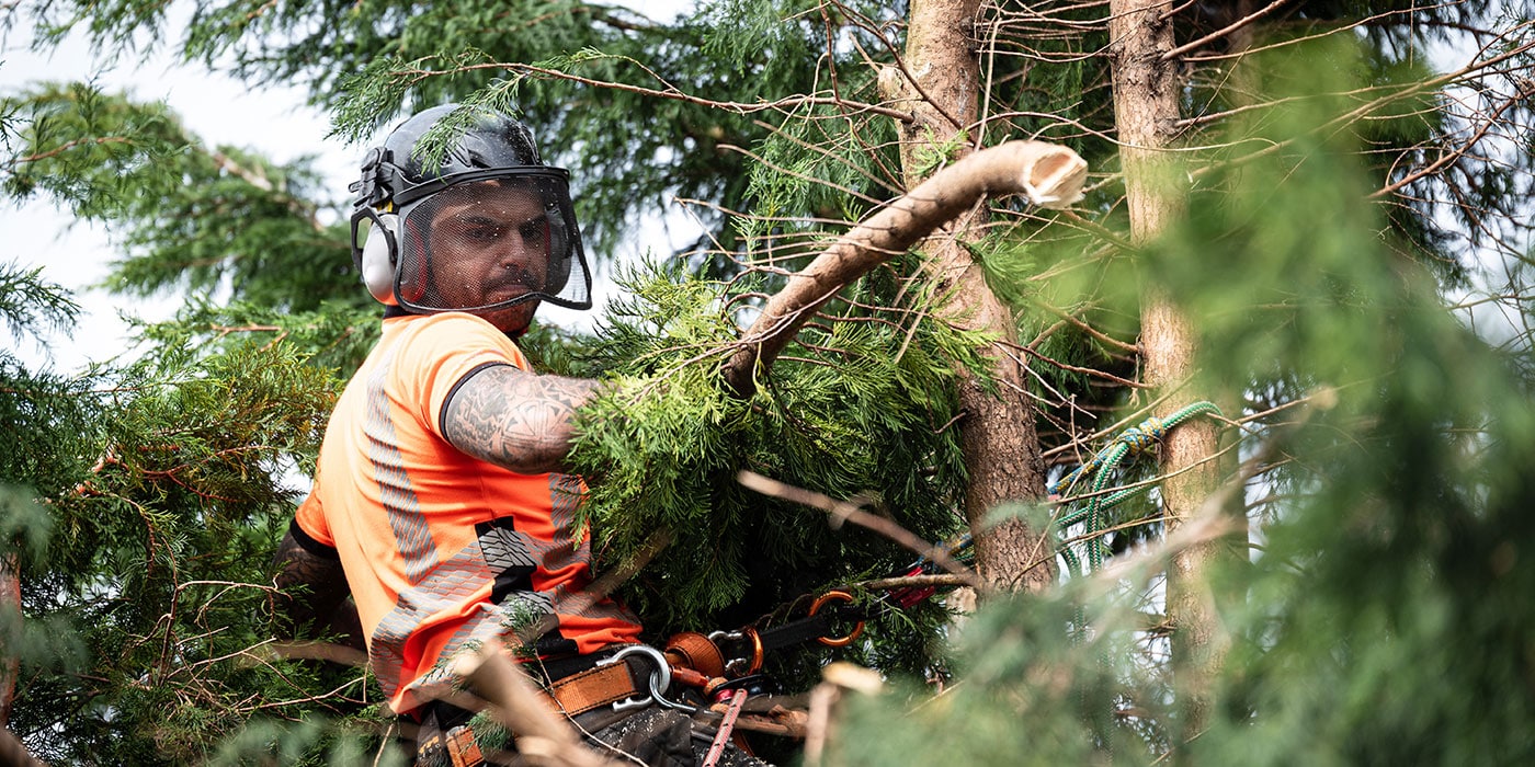 Matériel d'élagage professionnel