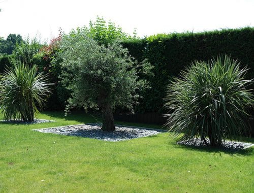 Concept Garden à Noyal Châtillon