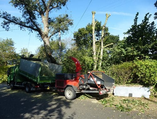 Gestin Environnement à Plurien