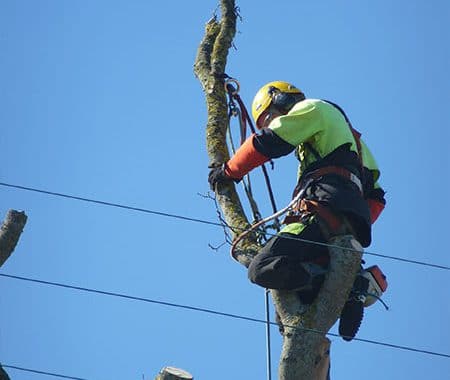 Gestin Environnement à Plurien