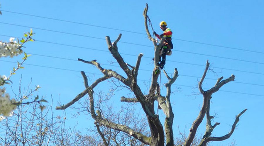Gestin Environnement à Plurien