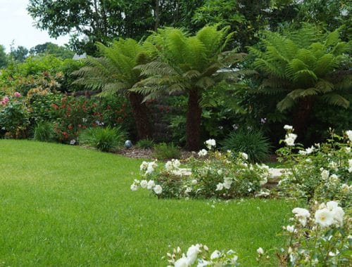 Jardin Divers à theix