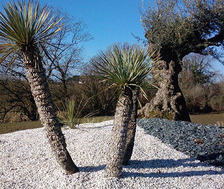 Arbor Mineral à Vannes