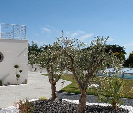 Envie Jardin